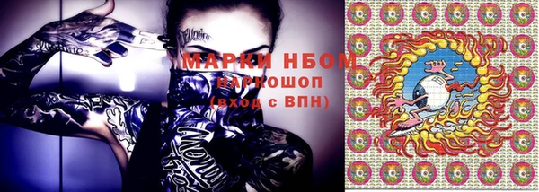 молекула духа Пестово